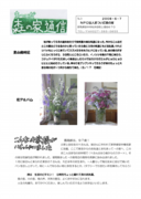 森通信3号.pdf