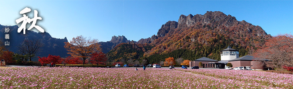 妙義山の紅葉